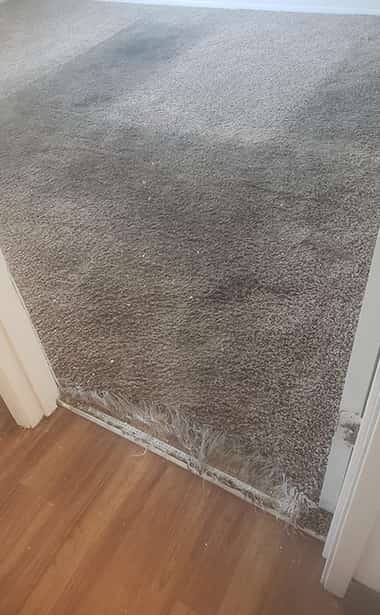 Landers Shoot Carpet Repair